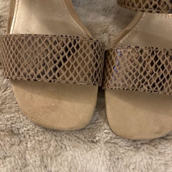 : : ANNE KLEIN NEW Faux Snake Skin Sandals with Chunky Heels : : - Picture 5 of 13